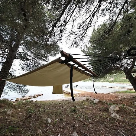 House Coral * Пашман