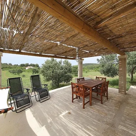 House Coral Пашман